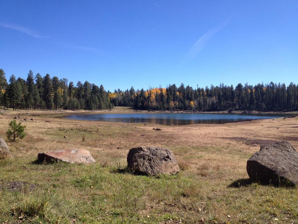 Mountain Haven Inn Pinetop-Lakeside Luaran gambar
