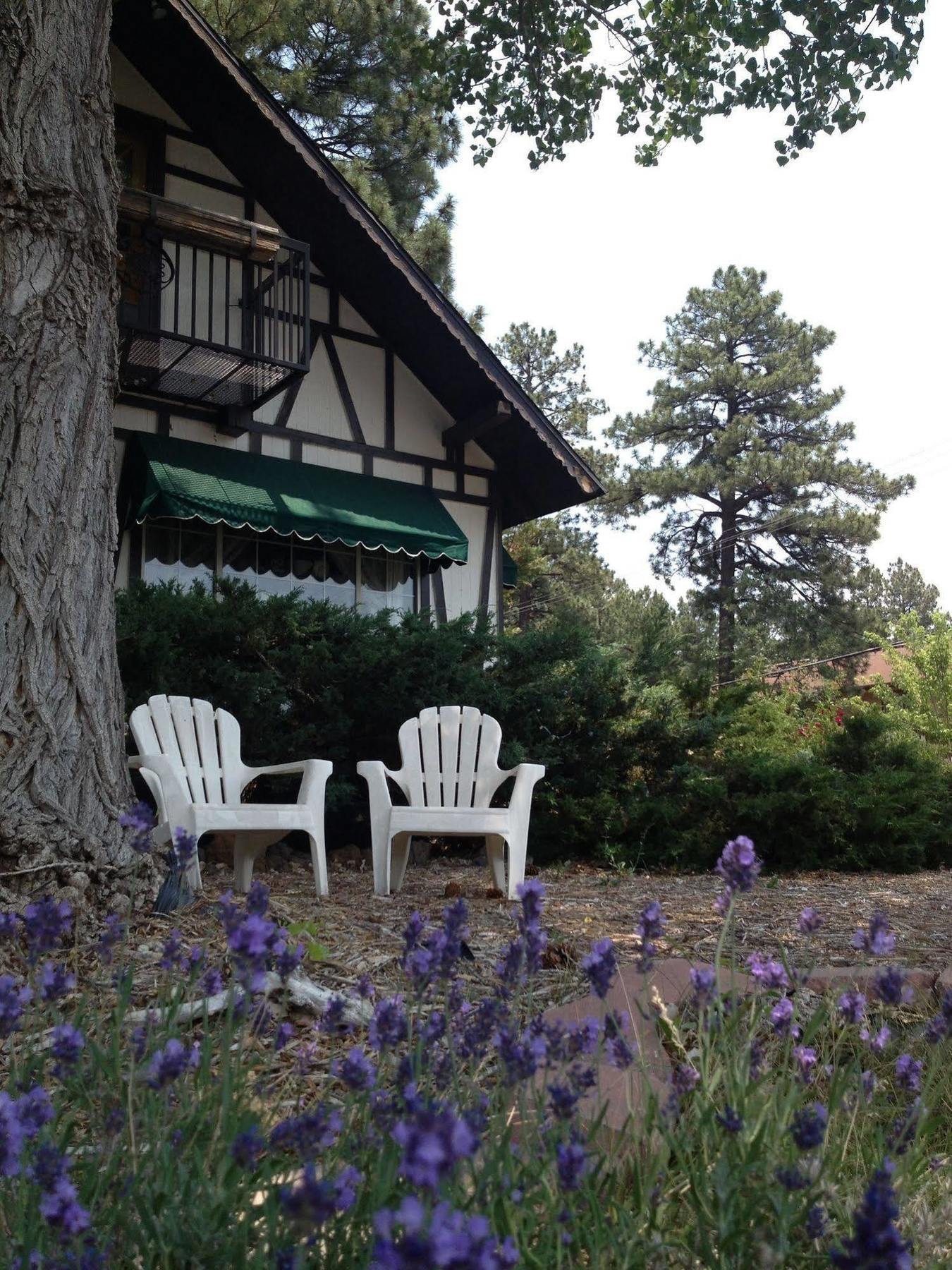 Mountain Haven Inn Pinetop-Lakeside Luaran gambar