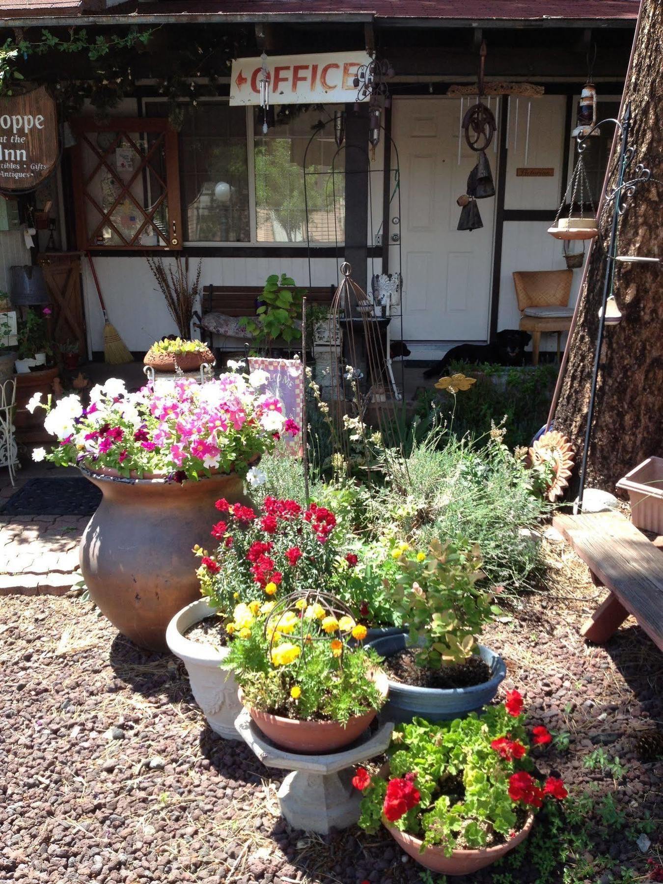 Mountain Haven Inn Pinetop-Lakeside Luaran gambar
